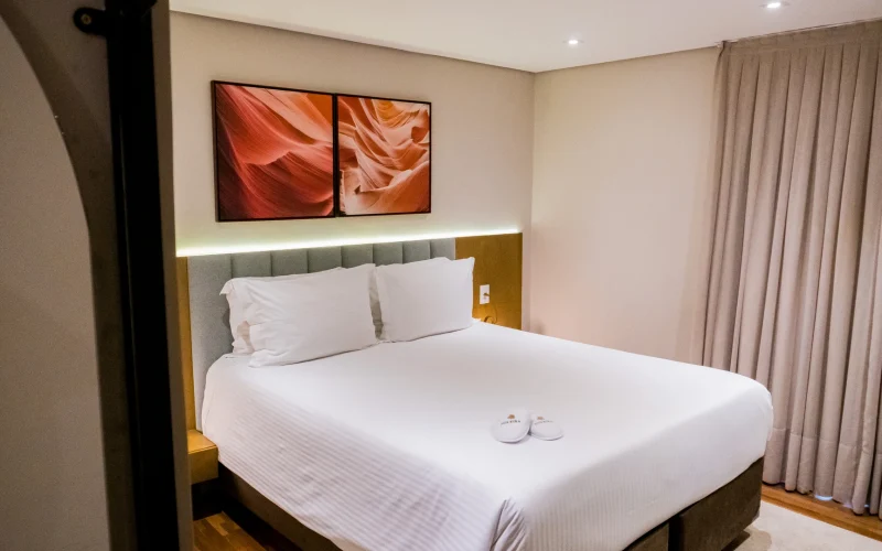 Suite 151 standard (1)